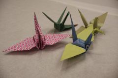 20250329_Festival des Channés